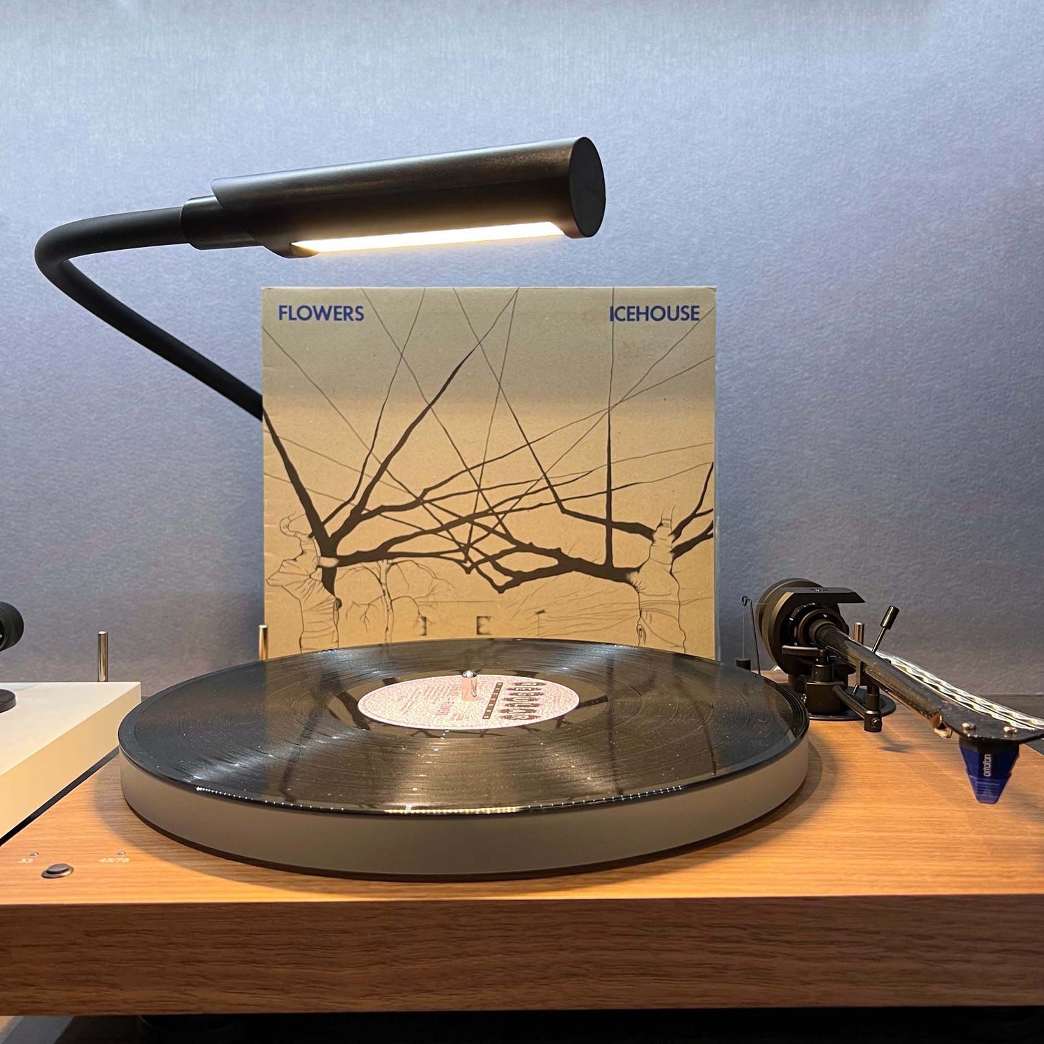 turntable light for turntable