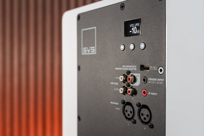 Back panel of SVS 3000 Micro R|Evolution Subwoofer
