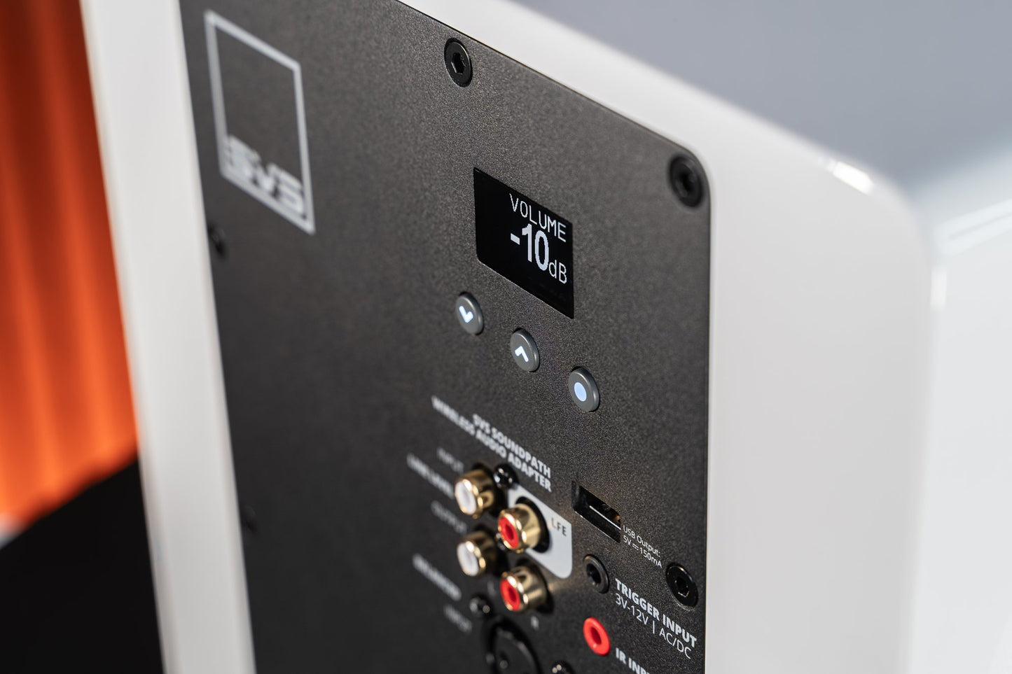 SVS 3000 Micro R|Evolution Subwoofer inputs