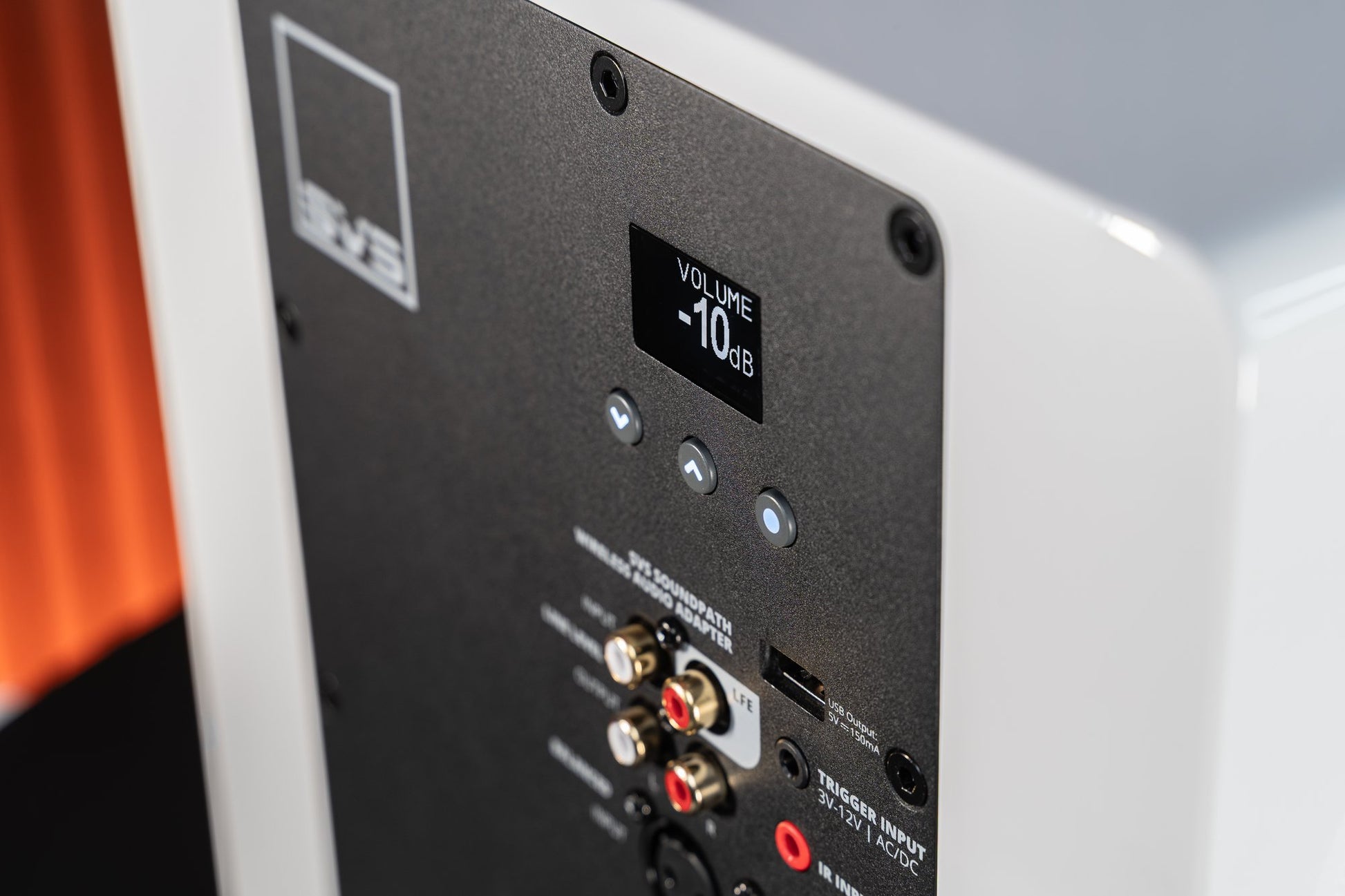 SVS 3000 Micro R|Evolution Subwoofer inputs