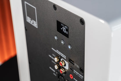 SVS 3000 Micro R|Evolution Subwoofer inputs