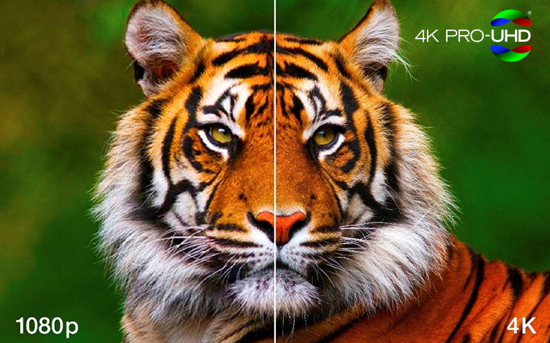 Close-up of a tiger's face with 4K and 1080p text overlay