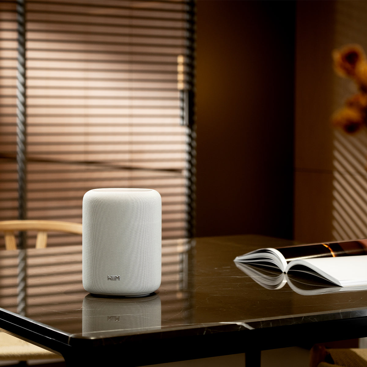 White WiiM Sound Lite Smart Speaker on table with brochure