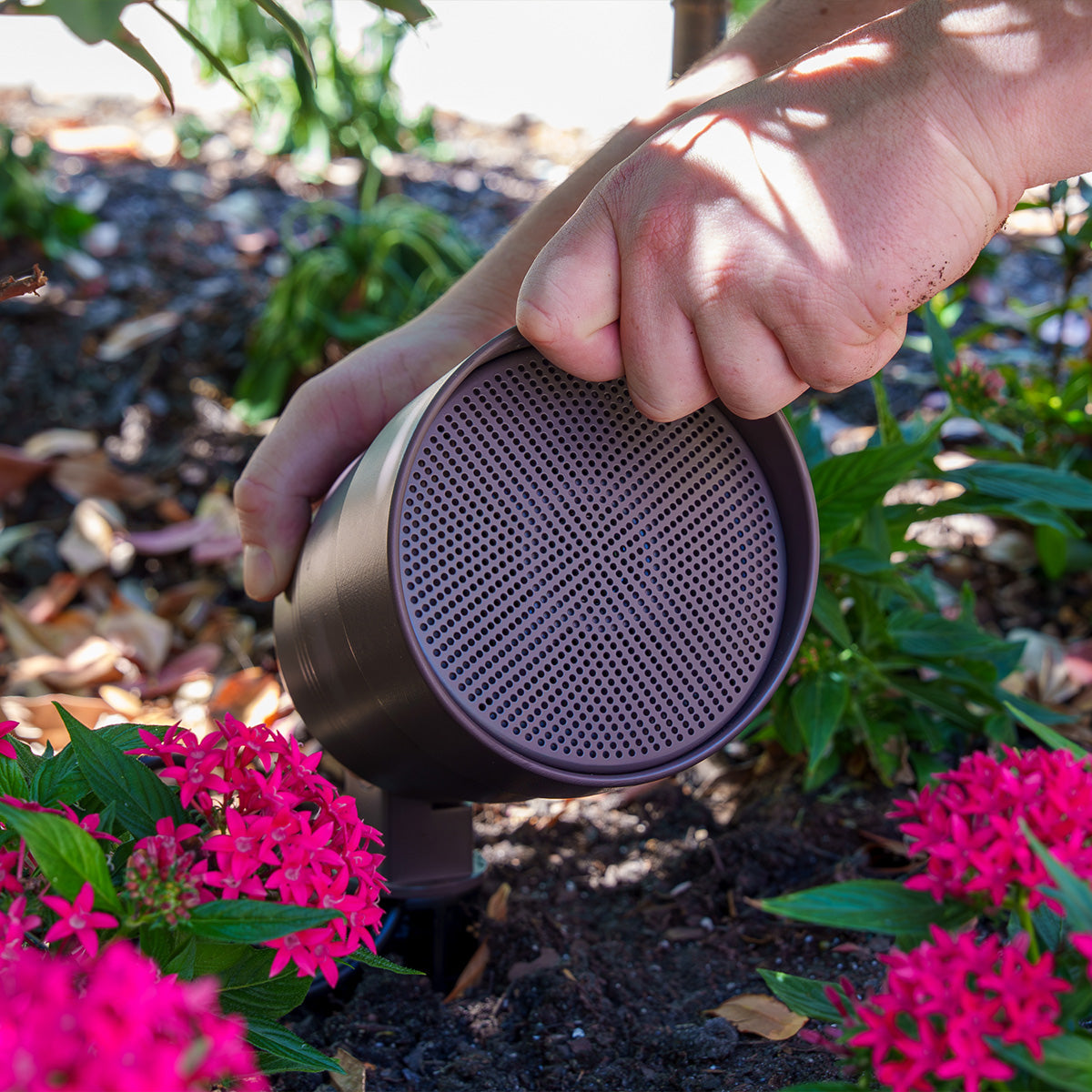 Person adjusting a WiiM Outdoor Speaker over pink flowers