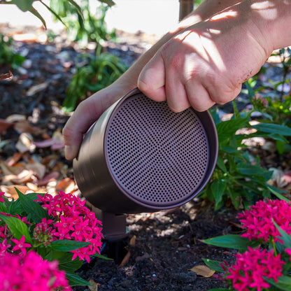 Person adjusting a WiiM Outdoor Speaker over pink flowers