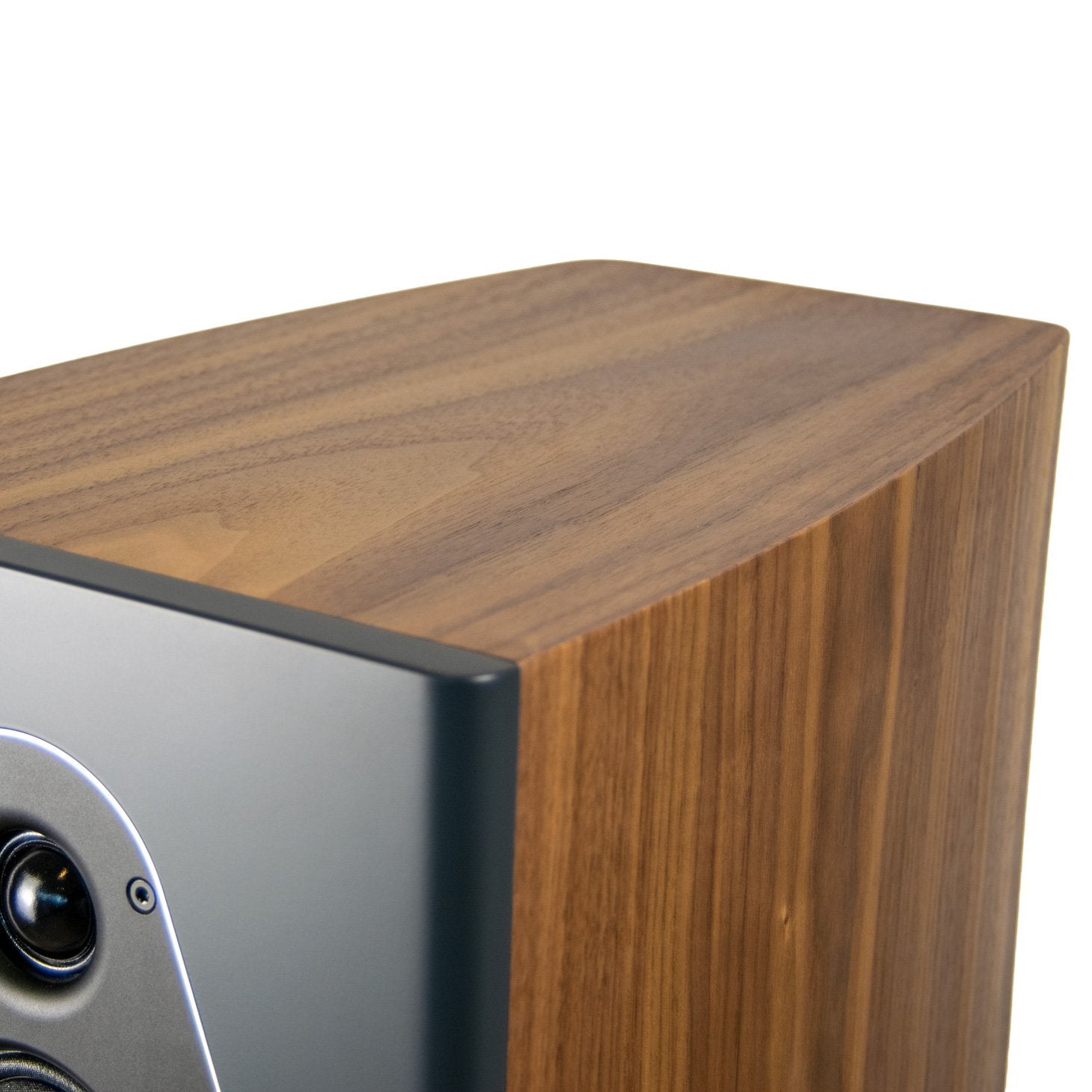 Top corner of Richter Wizard S7 Special Edition Speakers