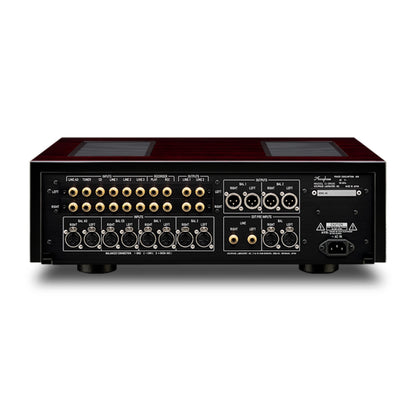 Rear view of Accuphase C-3900S Preamplifier on white background