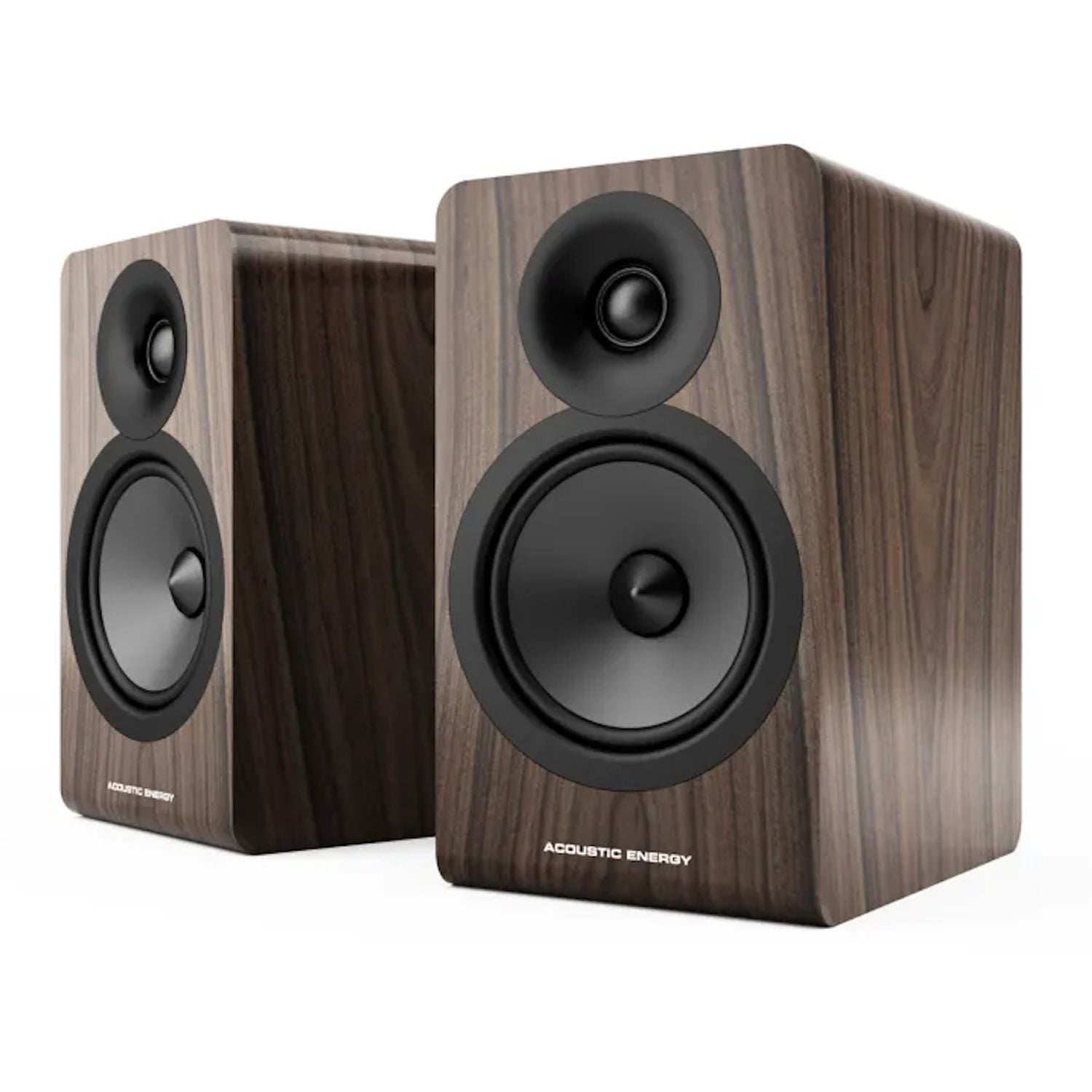 2 Way Bookshelf Speaker With Sweet Tonality & Fine Dynamics