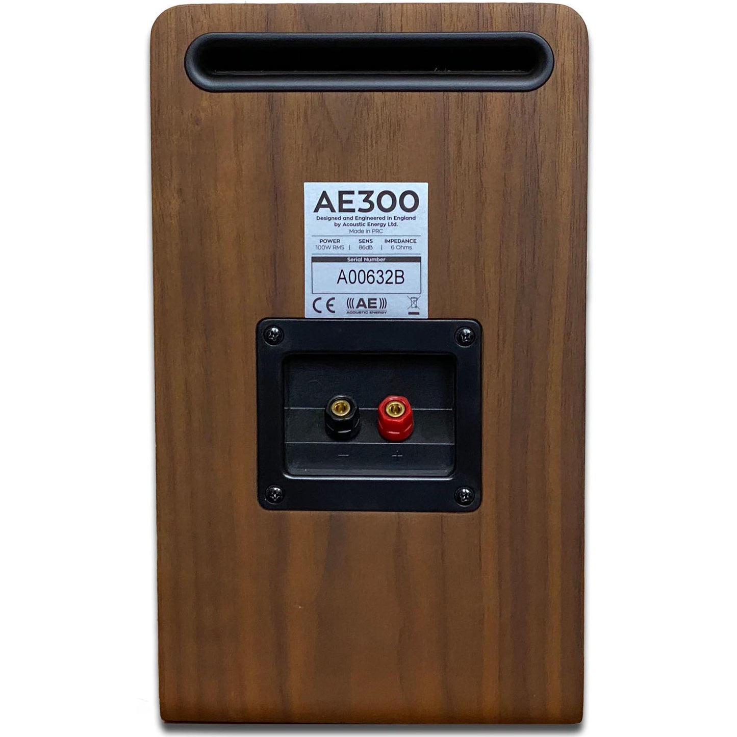 Acoustic Energy AE300 Speakers