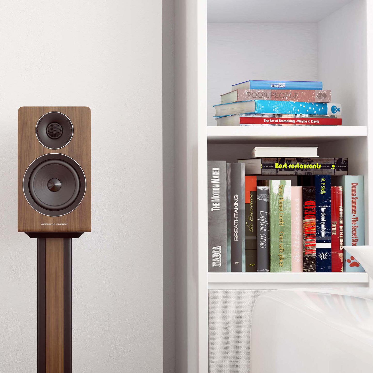 Acoustic Energy AE300 Speakers