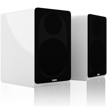 Acoustic Energy AE300 Speakers