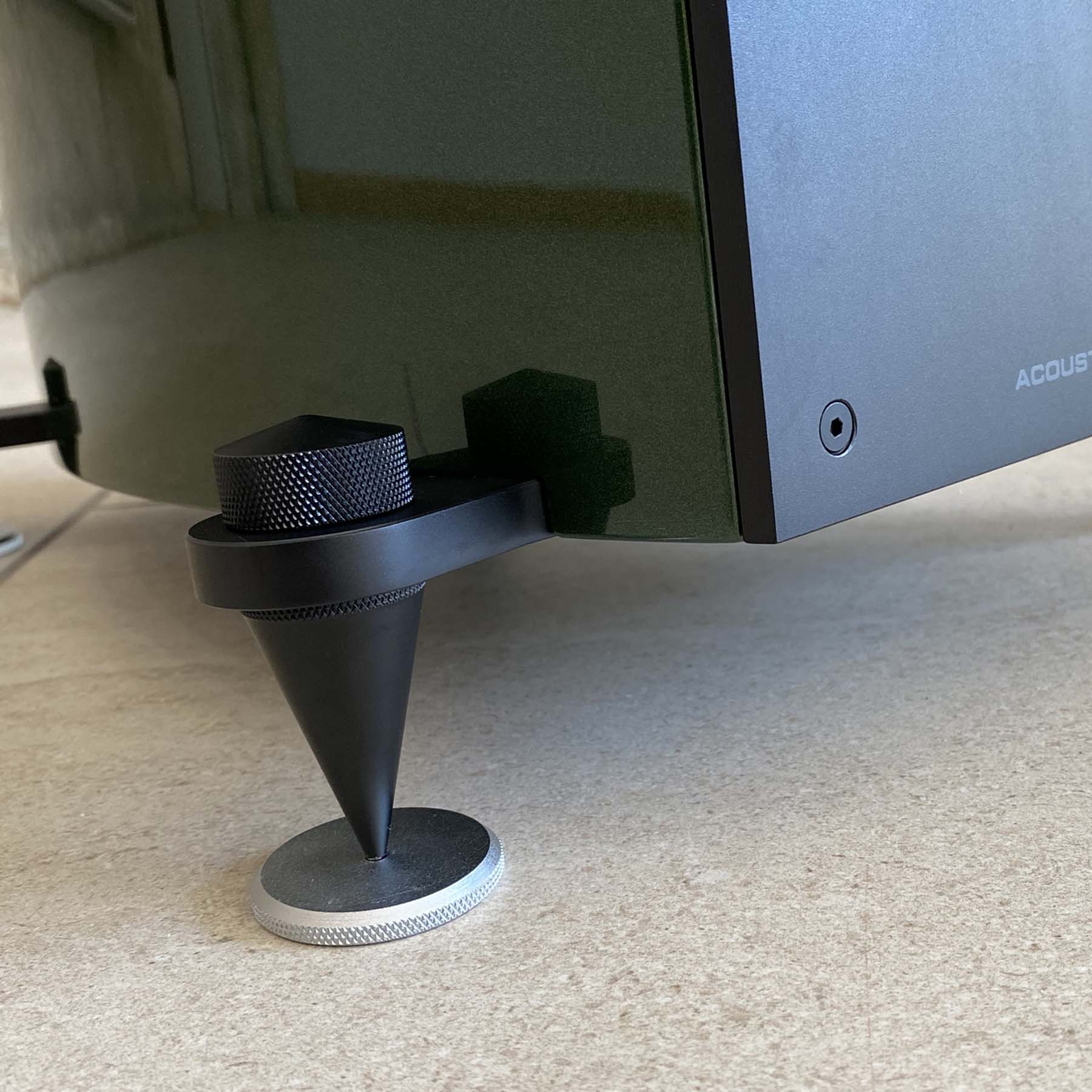 Close up of Corinium spikes and feet