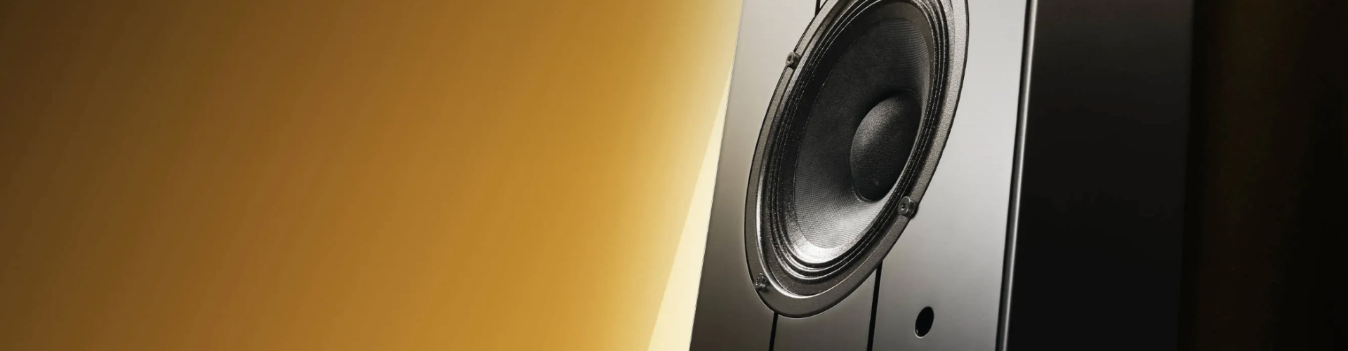 A close-up of a modern speaker cabinet, showing the silver and black speaker driver, set against a dark background with a warm yellow light reflection on the left.