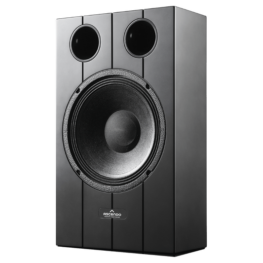 Black Ascendo The10 Passive On-Wall Speaker on a white background
