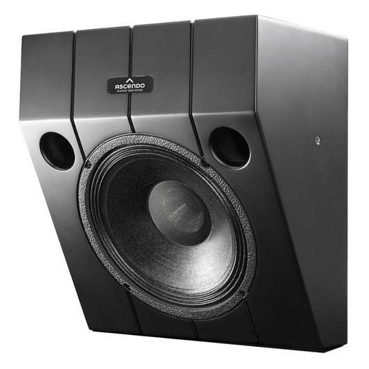 Front view of black Ascendo The10 Passive Wedge 30 Speaker on a white background