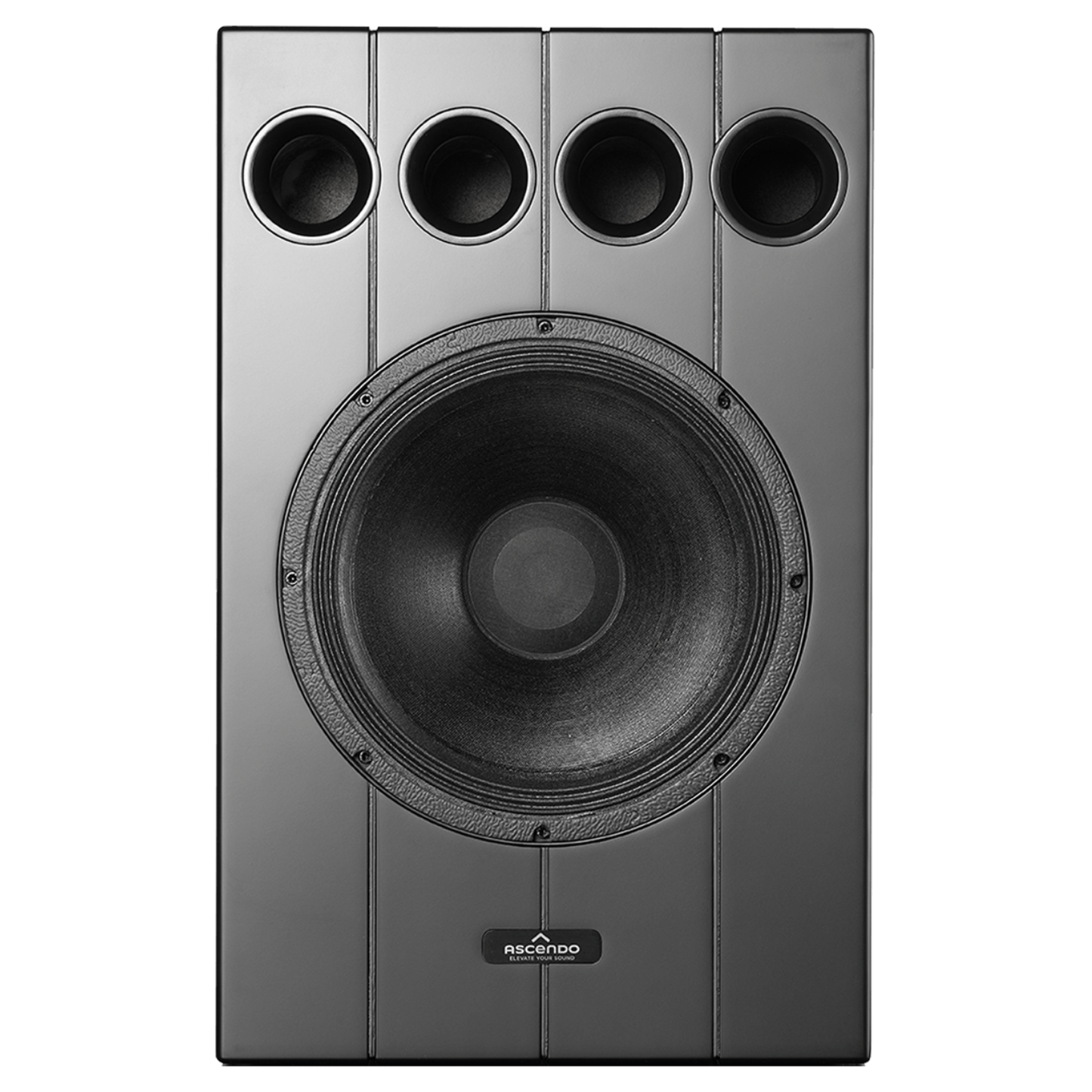 Front view of Ascendo THE12 Passive On-Wall Speakers on white background