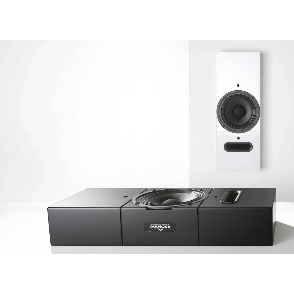 Black and white Ascendo THE6 Passive Narrow Speaker
