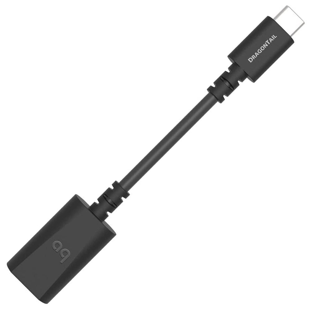 AudioQuest DragonTail adaptateur USB A vers mini-jack 3,5 mm