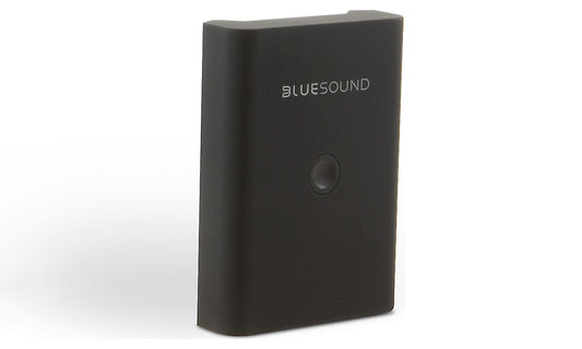 Bluesound BP100 Battery Pack