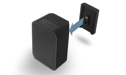 Bluesound BP100 Battery Pack