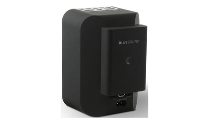 Bluesound BP100 Battery Pack