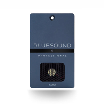 Front of Bluesound Professional B160S Streaming Amplifier on white background