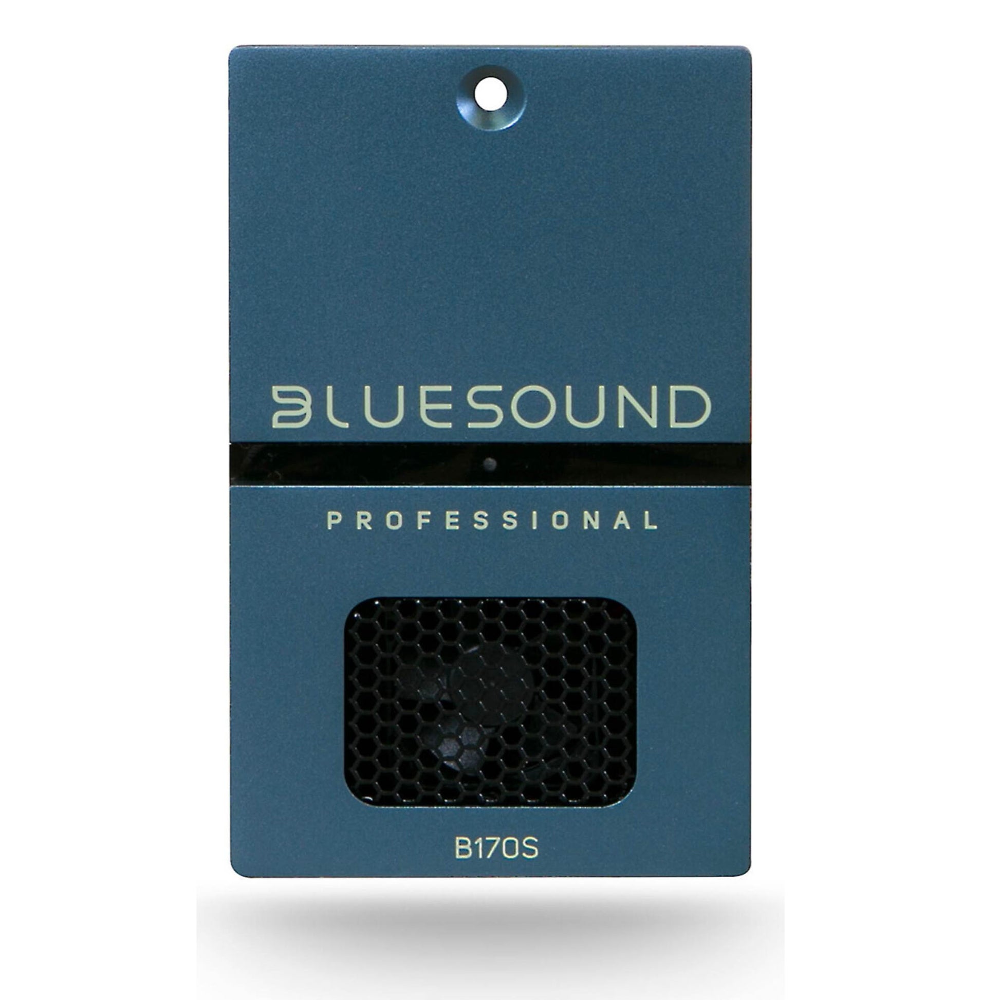 Front of Bluesound Professional B170S Streaming Amplifier on white background
