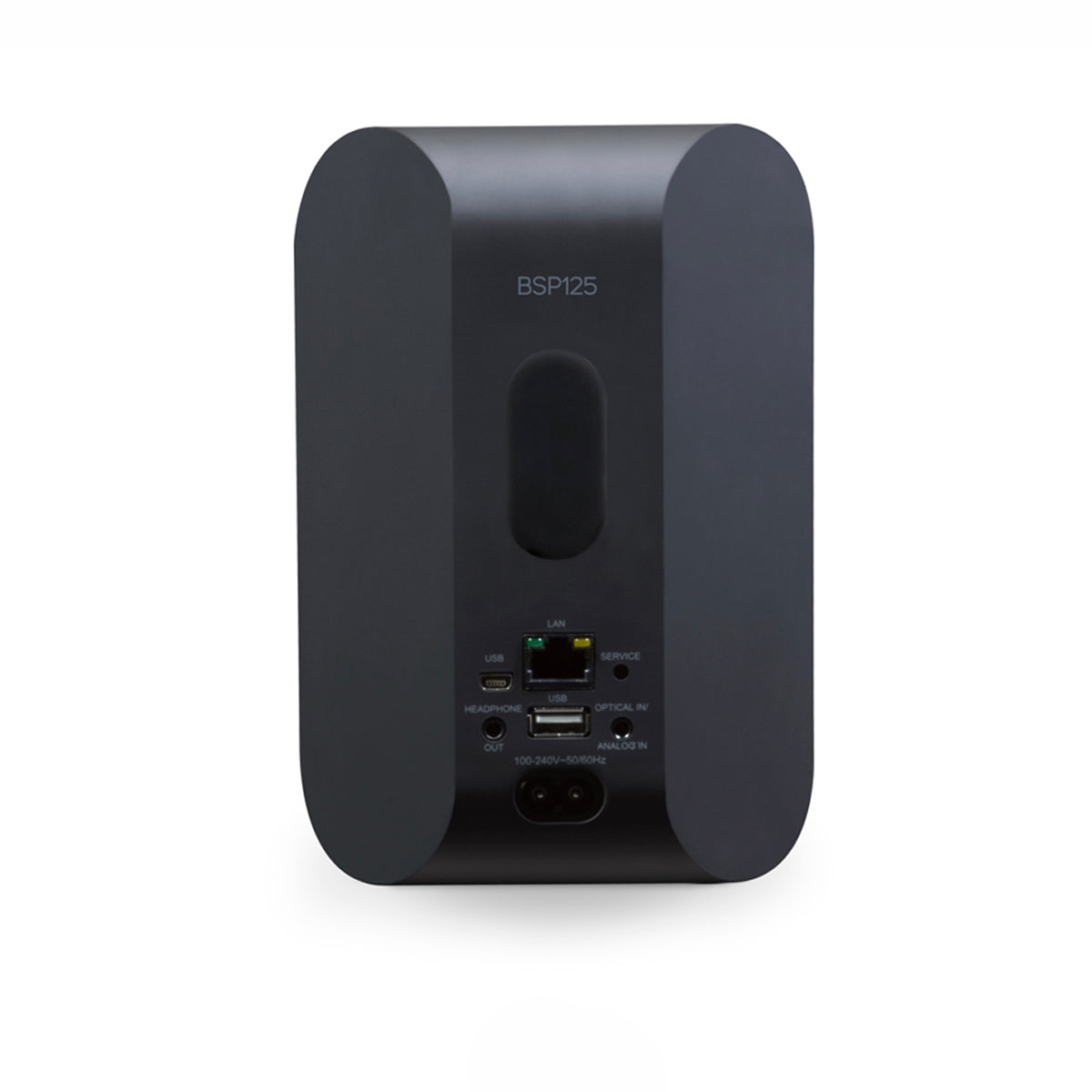 Rear of Bluesound Professional BSP125 in black