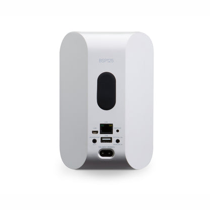 Rear of Bluesound Professional BSP125 in white