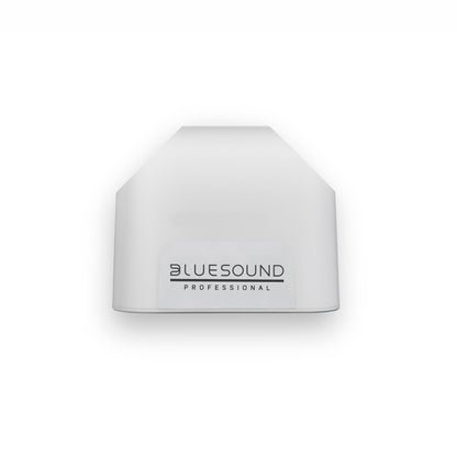 Top of Bluesound Professional BSP125 in white