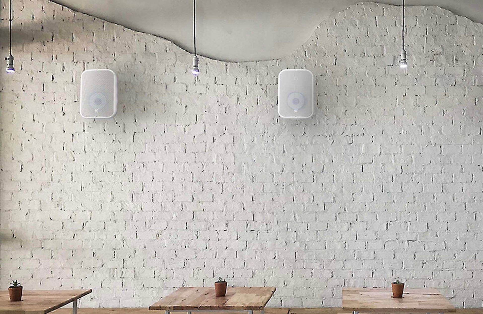 White wall with two ceiling speakers and a small table with a plant.
