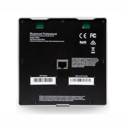 Back of Bluesound Professional CP100 on white background