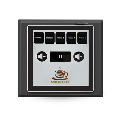 Bluesound Professional CP200 on white background with business logo
