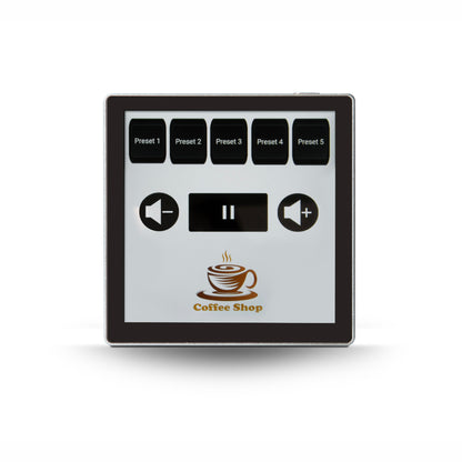 Bluesound Professional CP200 on white background with business logo