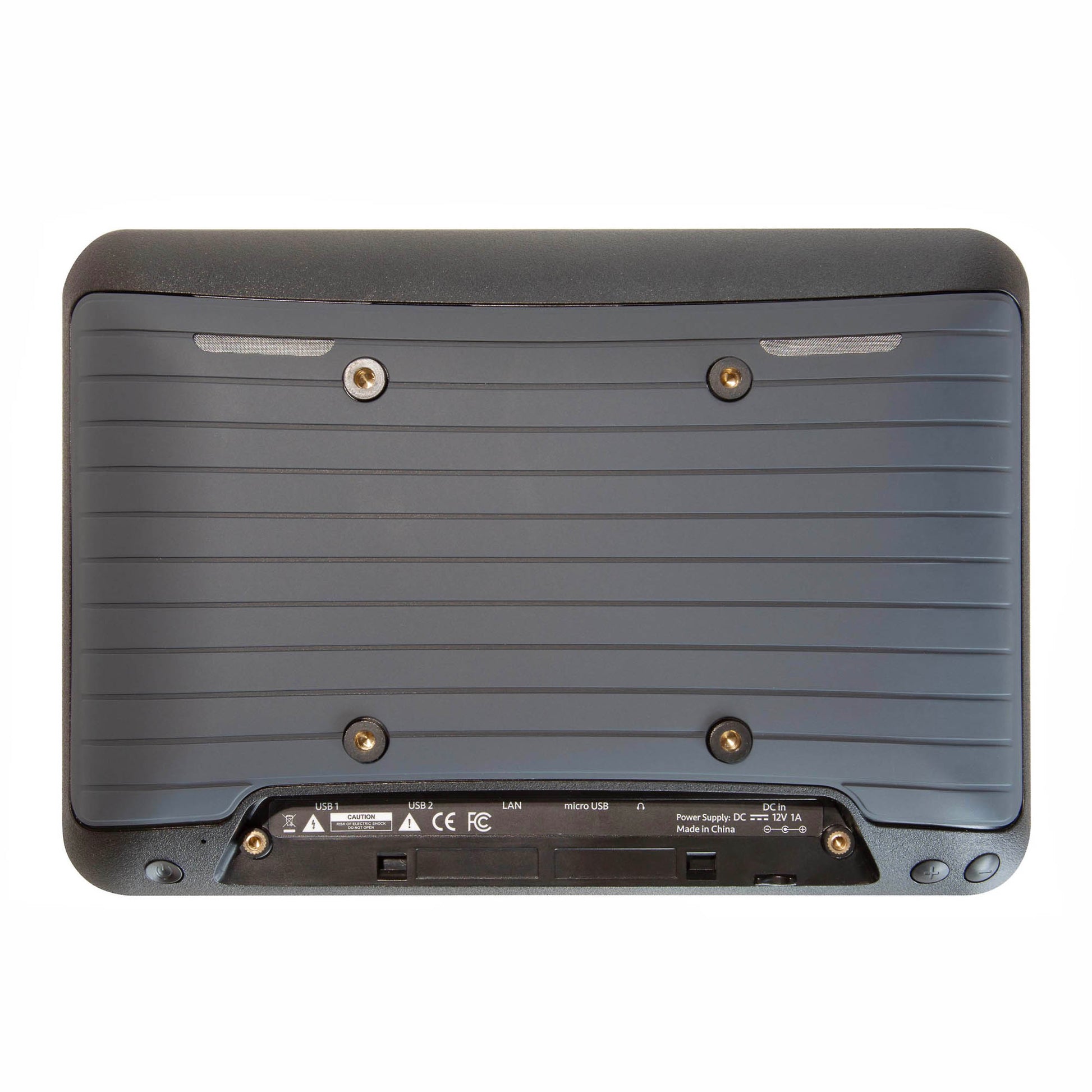 Back view of Bluesound Professional CP 300 on white background