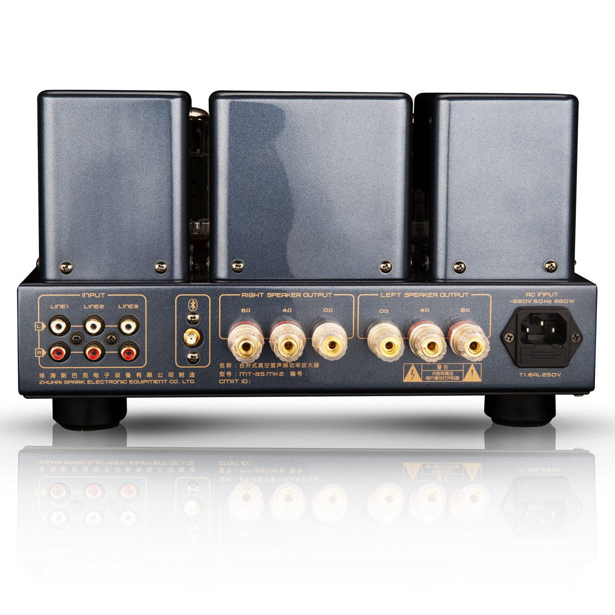 Cayin MT-35 MK2 BT - Rear panel connections
