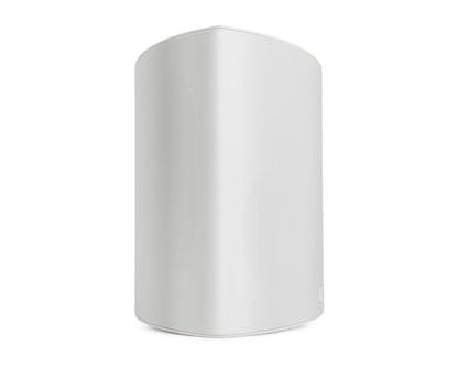 Definitive Technology Dymension AW-650 Outdoor Speakers