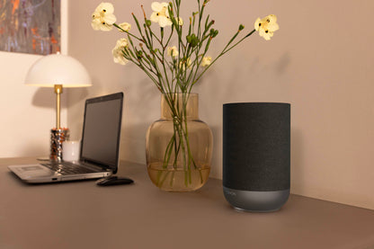 Laptop, vase with flowers, and Denon Home 200 speaker on a desk against a beige wall.