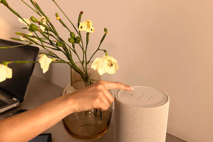 Person interacting with a smart speaker next to a vase of flowers on a desk.