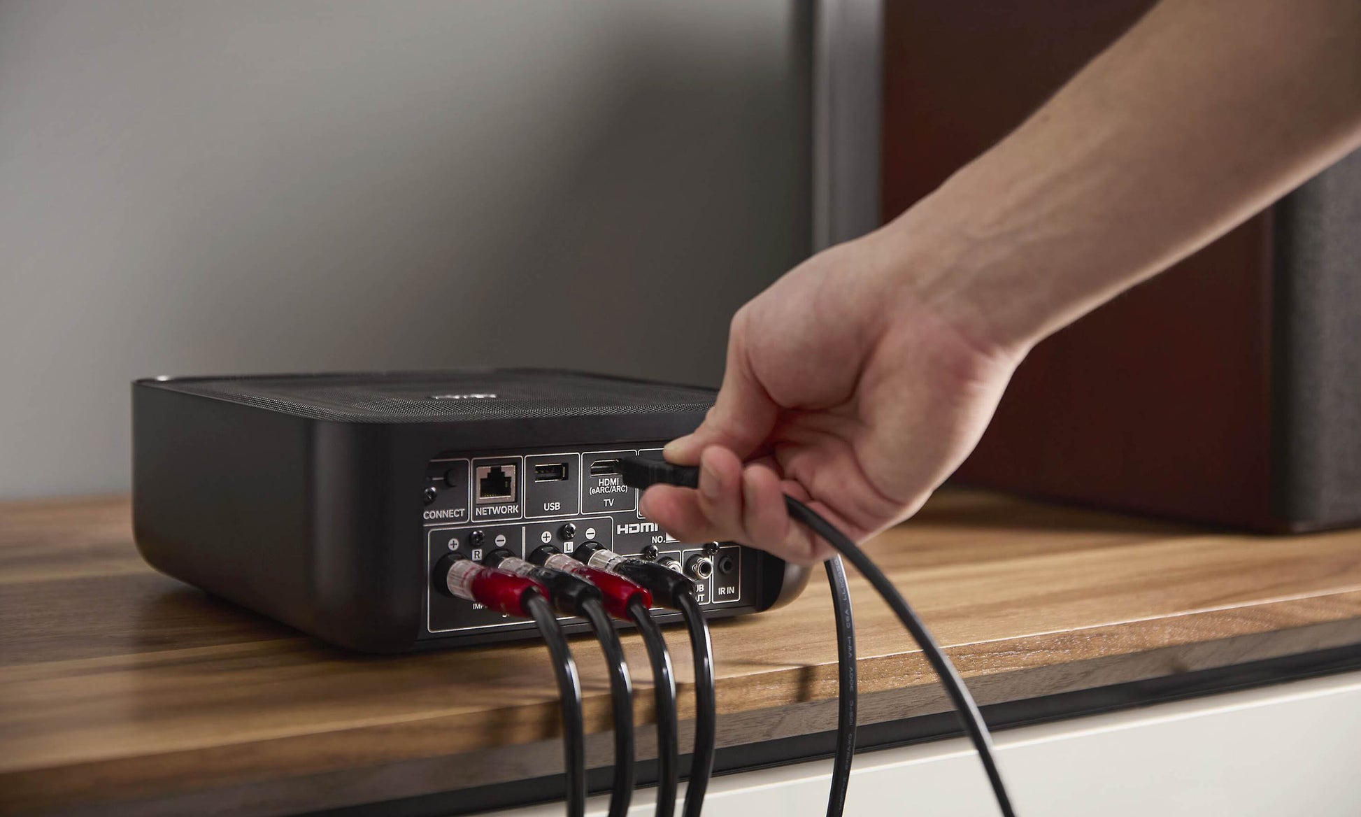 Denon Home Amp - Rear Connections