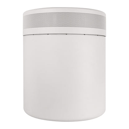 Episode Radiance Outdoor Subwoofer