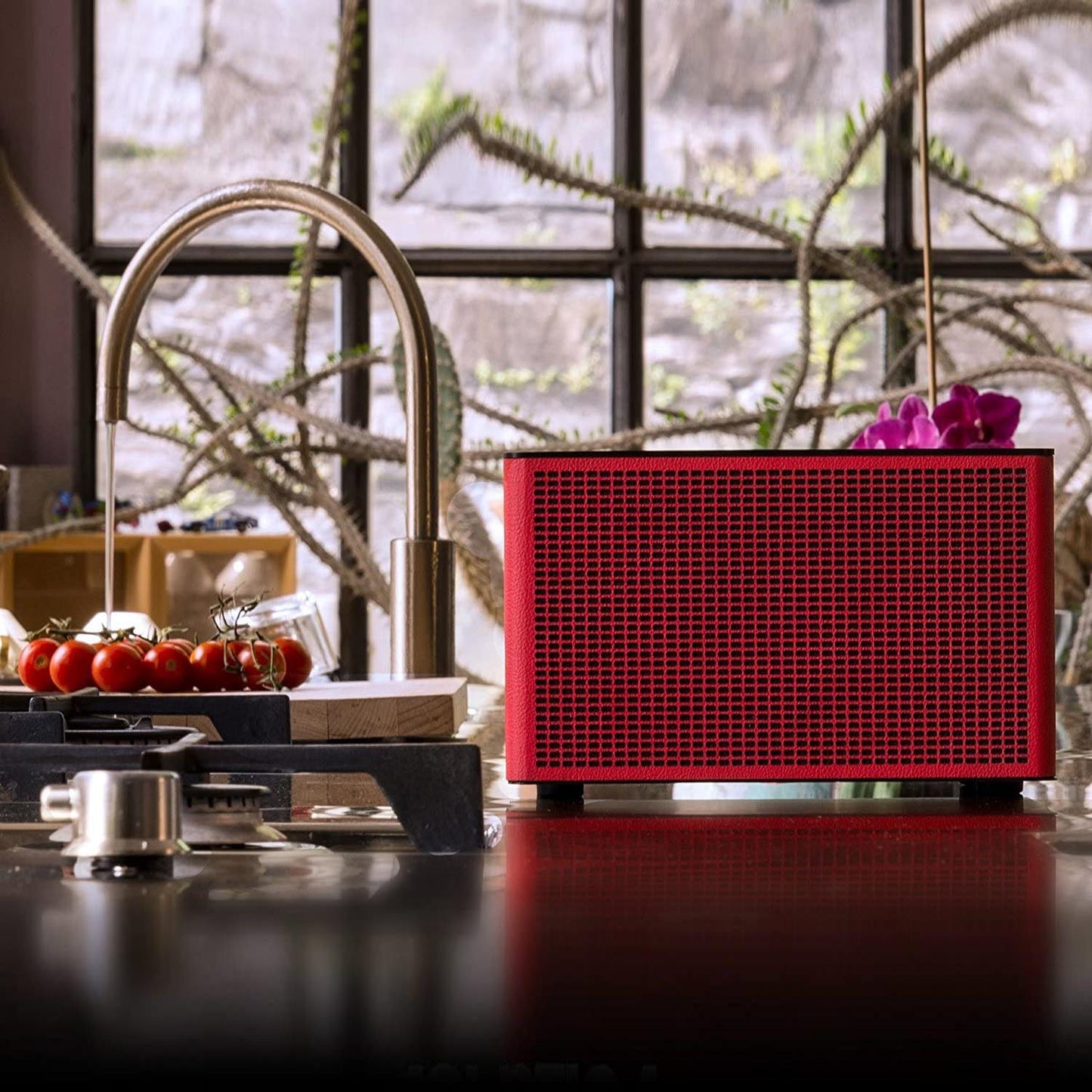 Geneva Acustica/Lounge Bluetooth Speaker