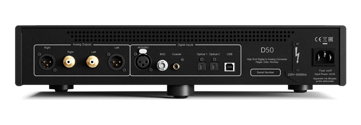 Hegel D50 Reference DAC - Rear Connections