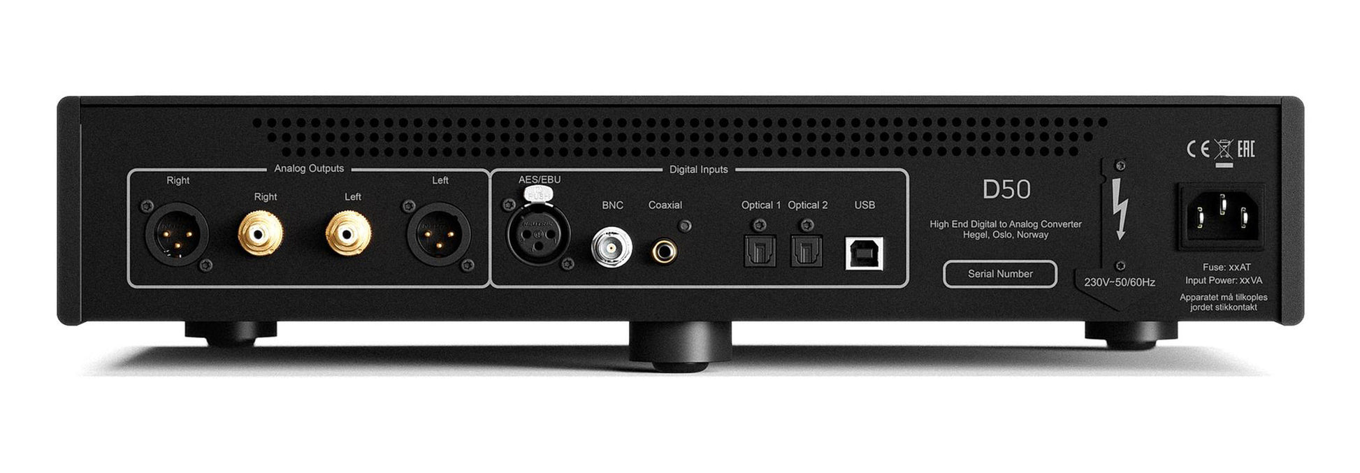 Hegel D50 Reference DAC - Rear Connections