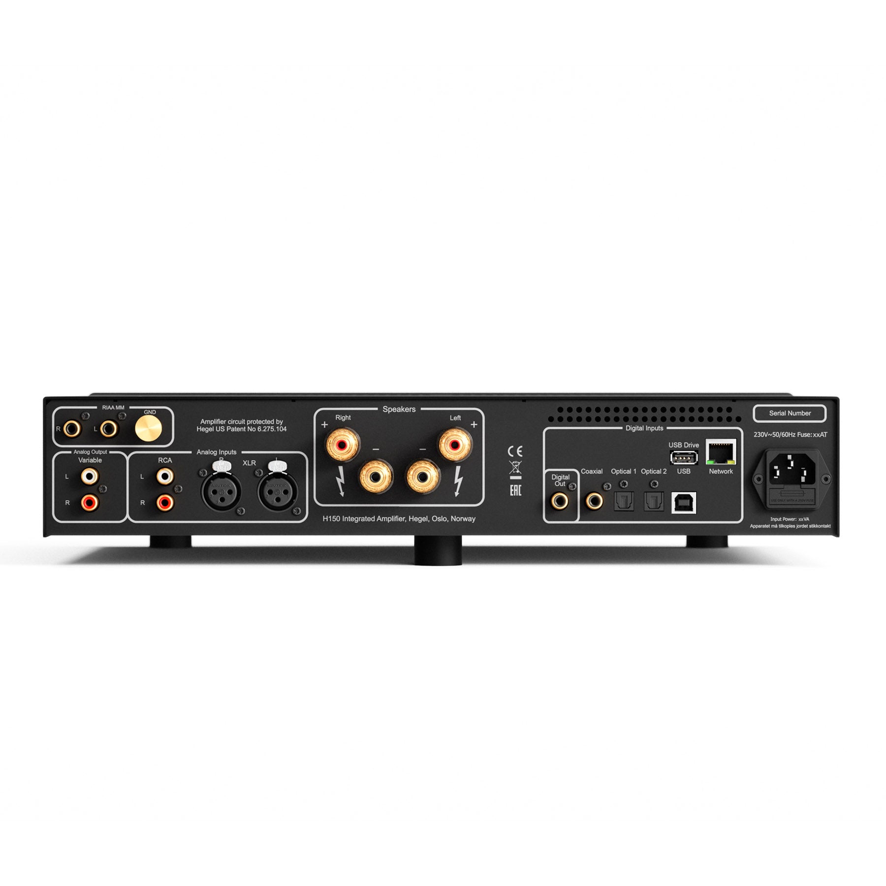 Back panel of black Hegel H150 Streaming Amplifier on white background