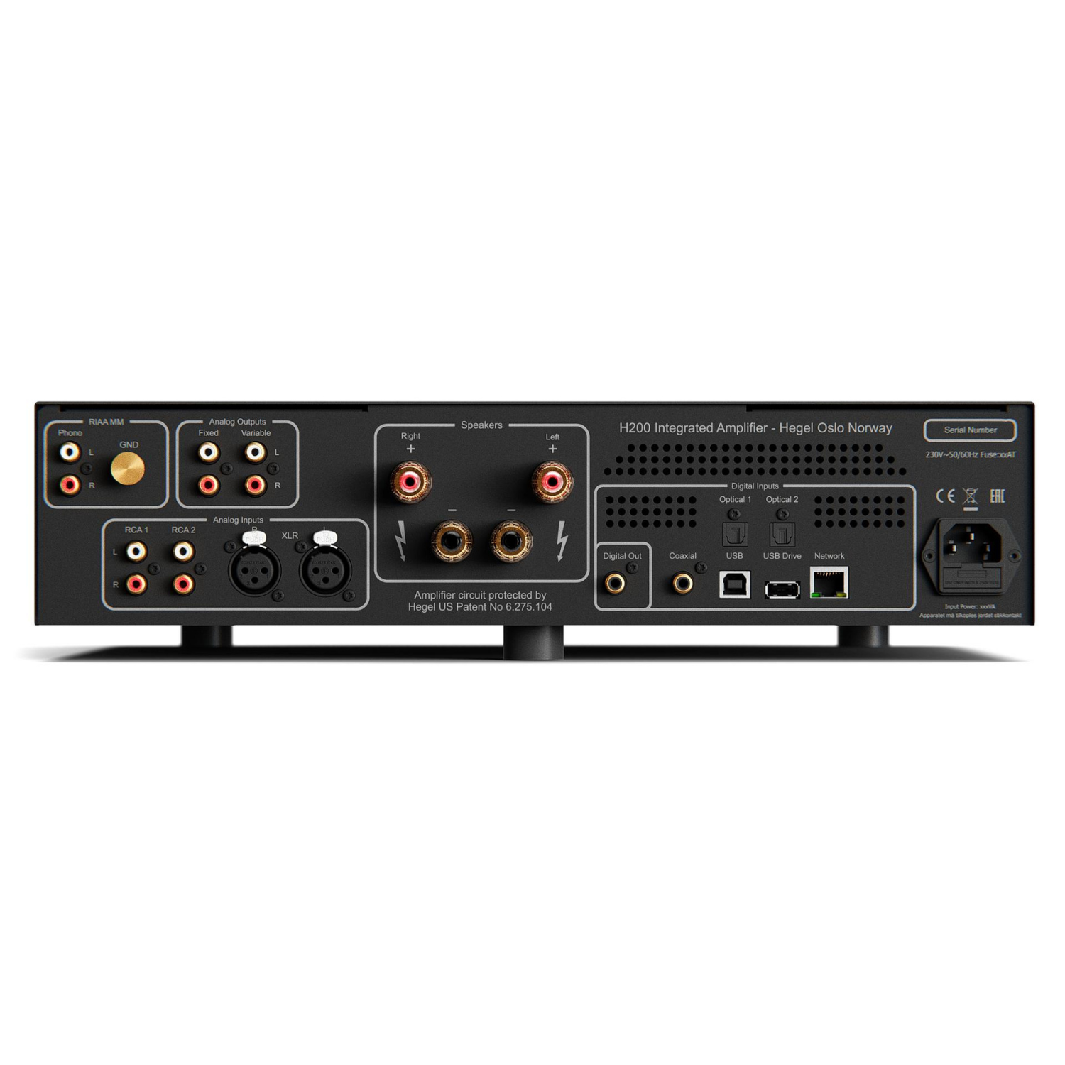 Rear panel of Hegel H200 Integrated Amplifier on white background
