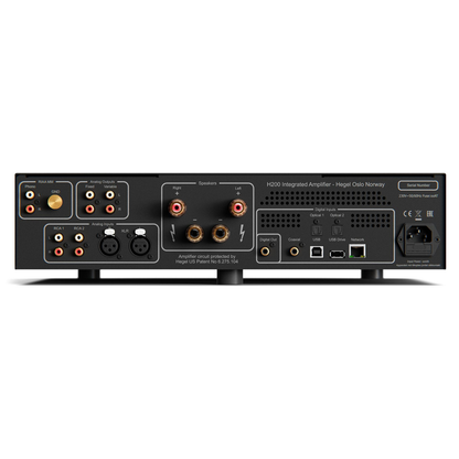 Rear panel of Hegel H200 Integrated Amplifier on white background