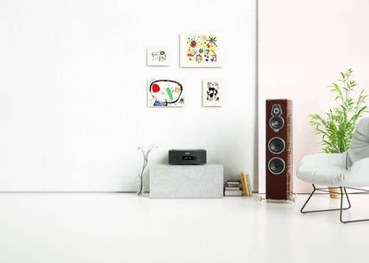 Hegel H390 Streaming Amplifier