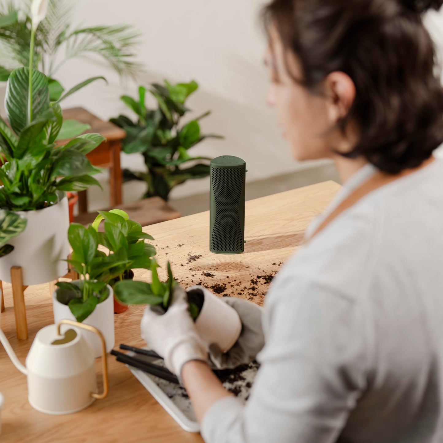 Person potting a plant with a smart speaker on a table surrounded by indoor plants.