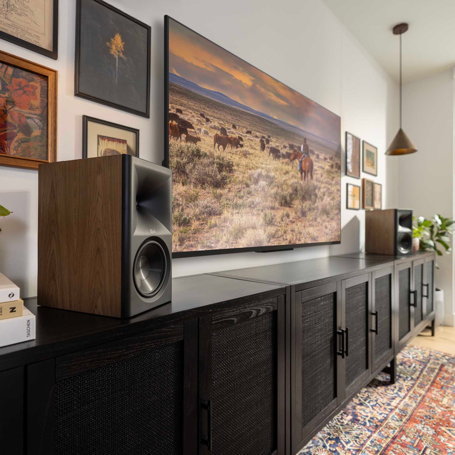 Living room with a large TV displaying a nature scene, flanked by speakers and a wooden cabinet.